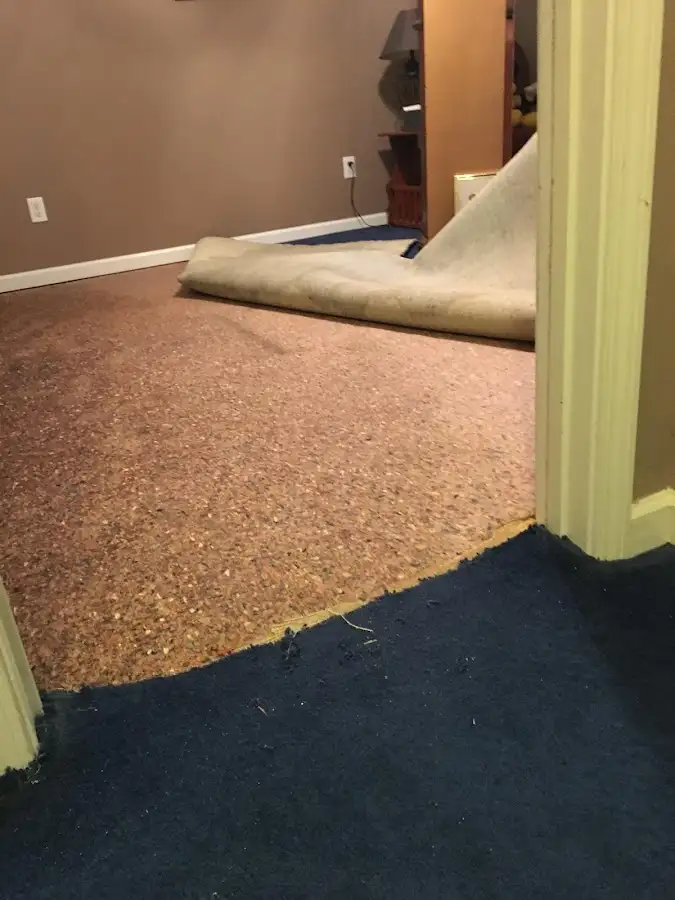 Carpet pad removal revealing water damage during Drying & Dehumidification in Webster