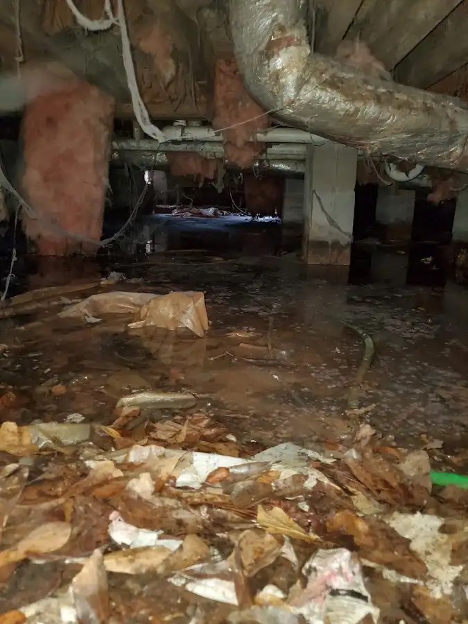 Crawl space flood assessment for Commercial Water Damage Restoration in Webster